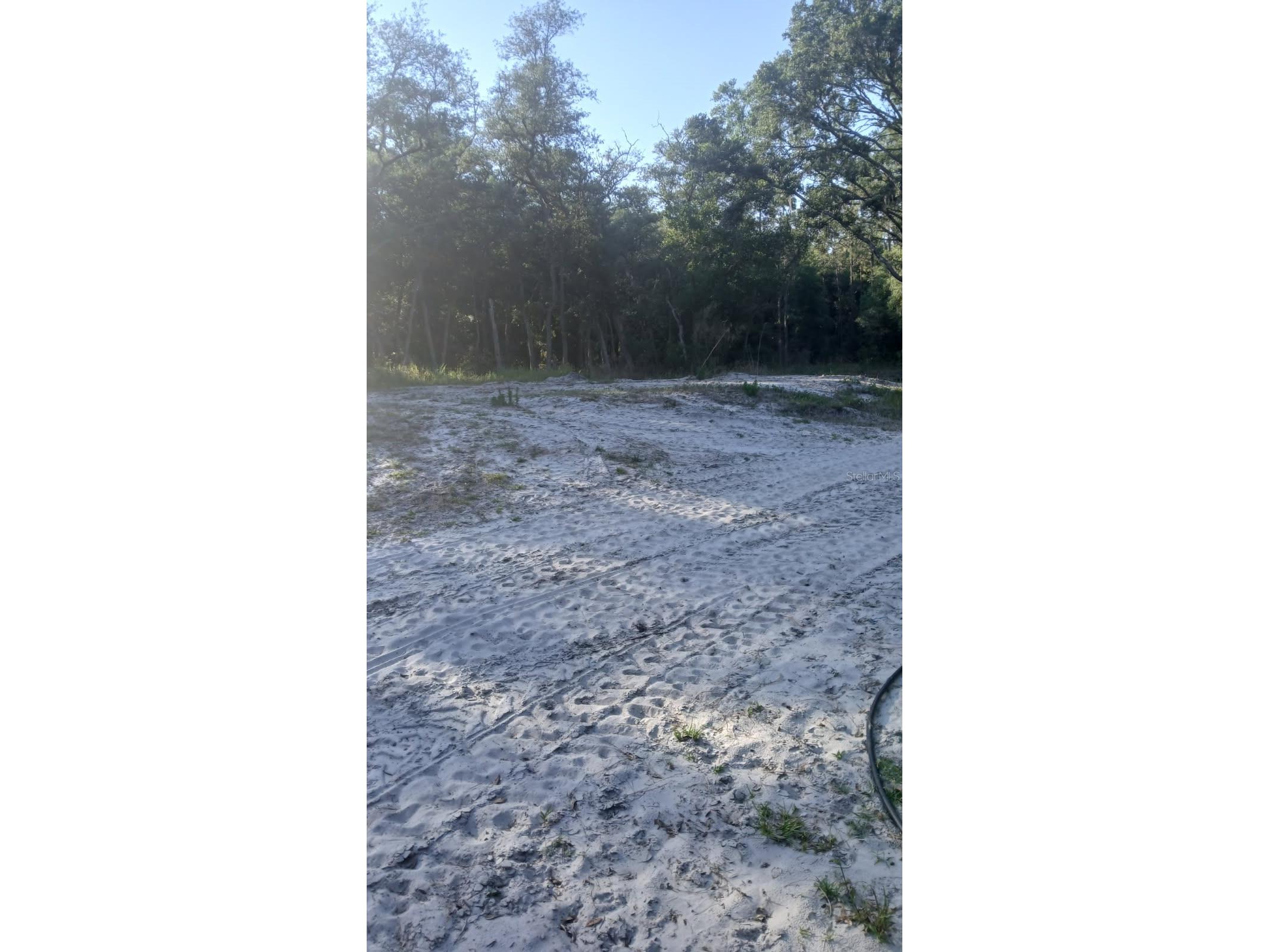 0 And Tbd Webster FL 33597 TB8503158 image5