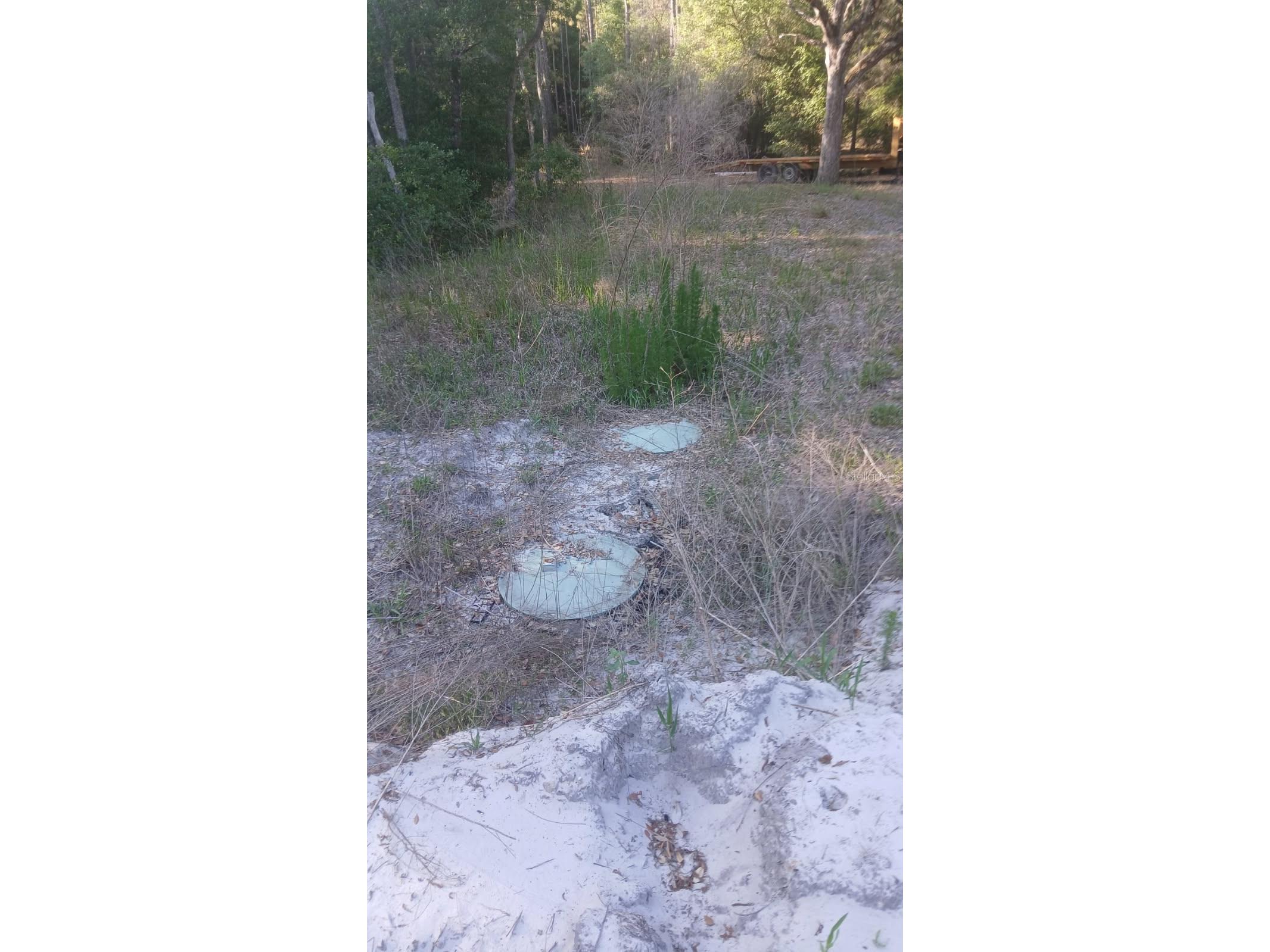 0 And Tbd Webster FL 33597 TB8503158 image6