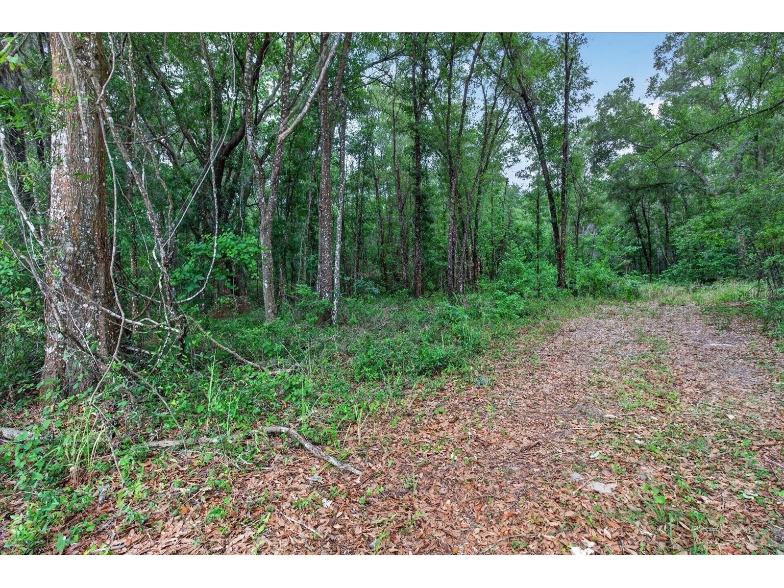 0 Cortez Blvd Brooksville FL 34601 TB8510278 image10