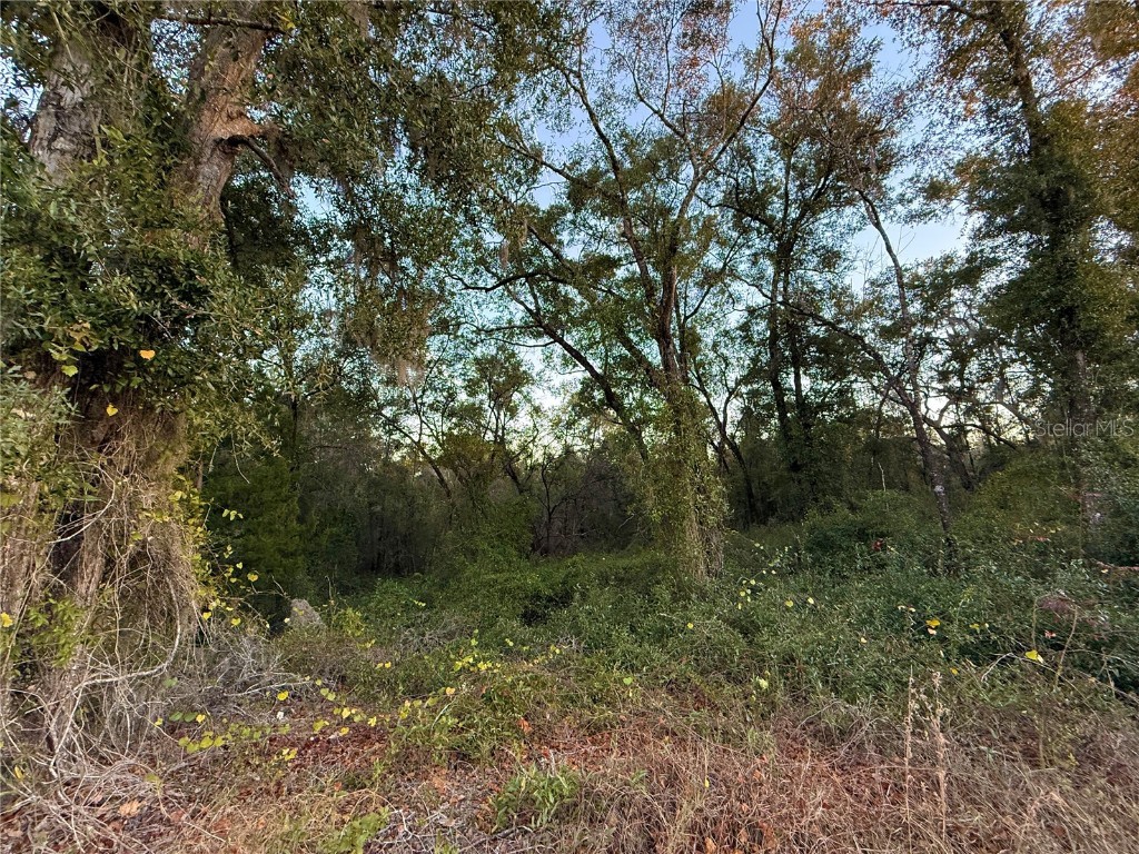 0 E Thrasher Dr Bronson FL 32621 GC535701 image10