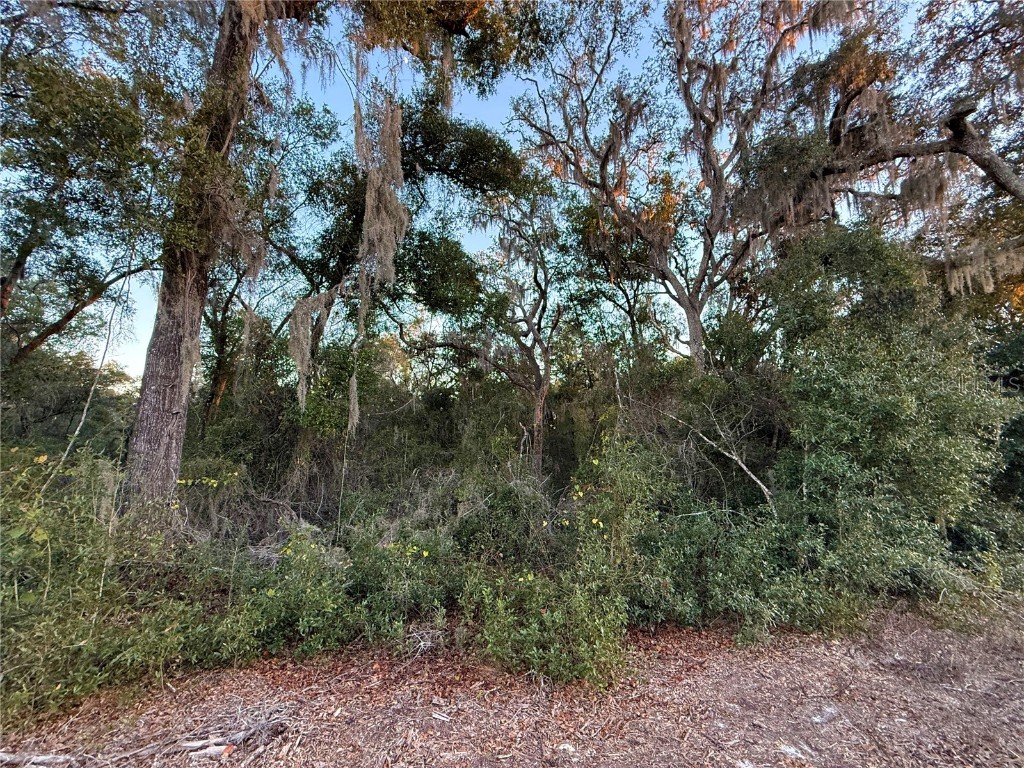 0 E Thrasher Dr Bronson FL 32621 GC535701 image12