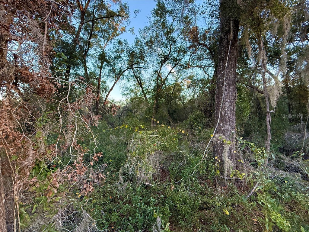 0 E Thrasher Dr Bronson FL 32621 GC535701 image15