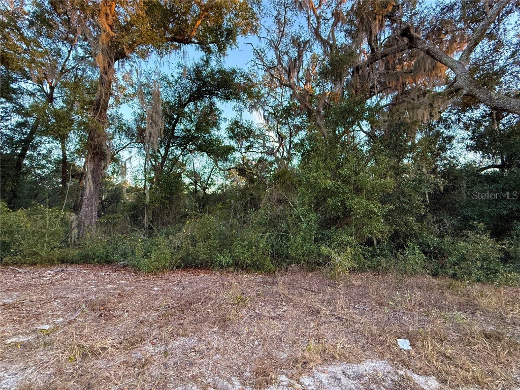 0 E Thrasher Dr Bronson FL 32621 GC535701 image16