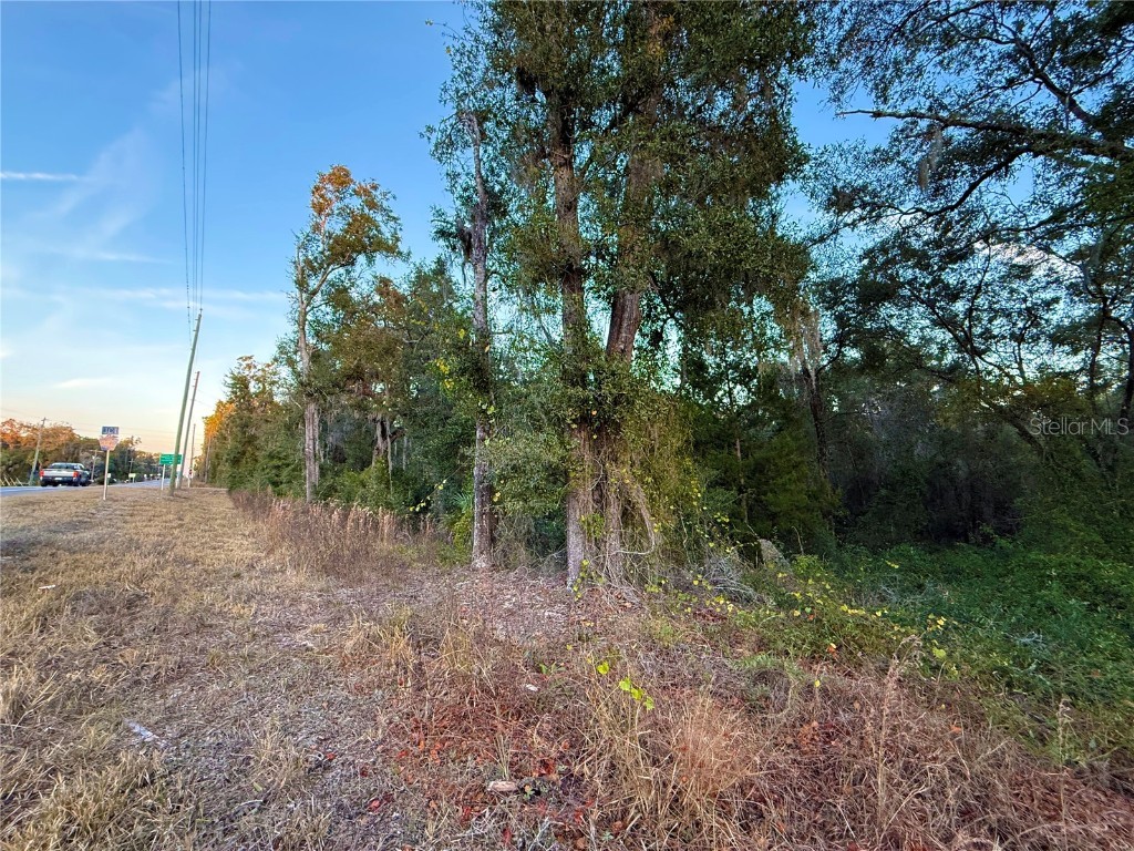 0 E Thrasher Dr Bronson FL 32621 GC535701 image18