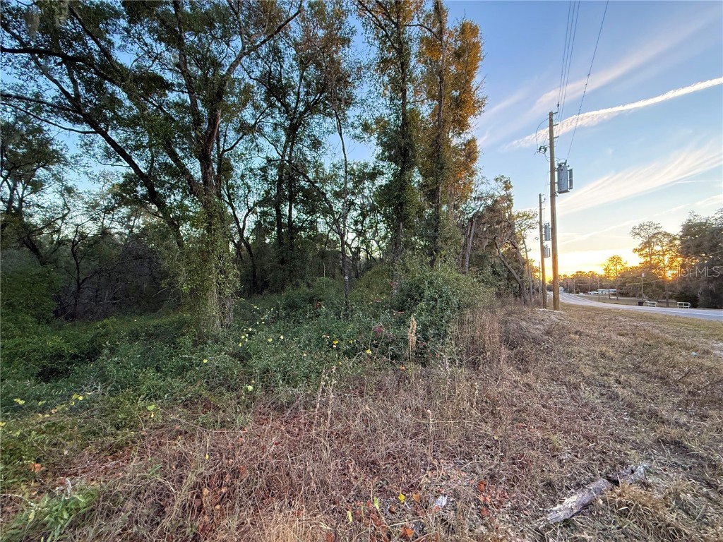 0 E Thrasher Dr Bronson FL 32621 GC535701 image19