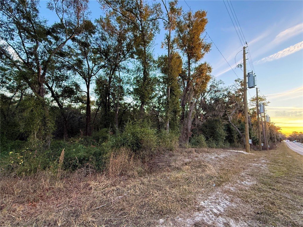 0 E Thrasher Dr Bronson FL 32621 GC535701 image4