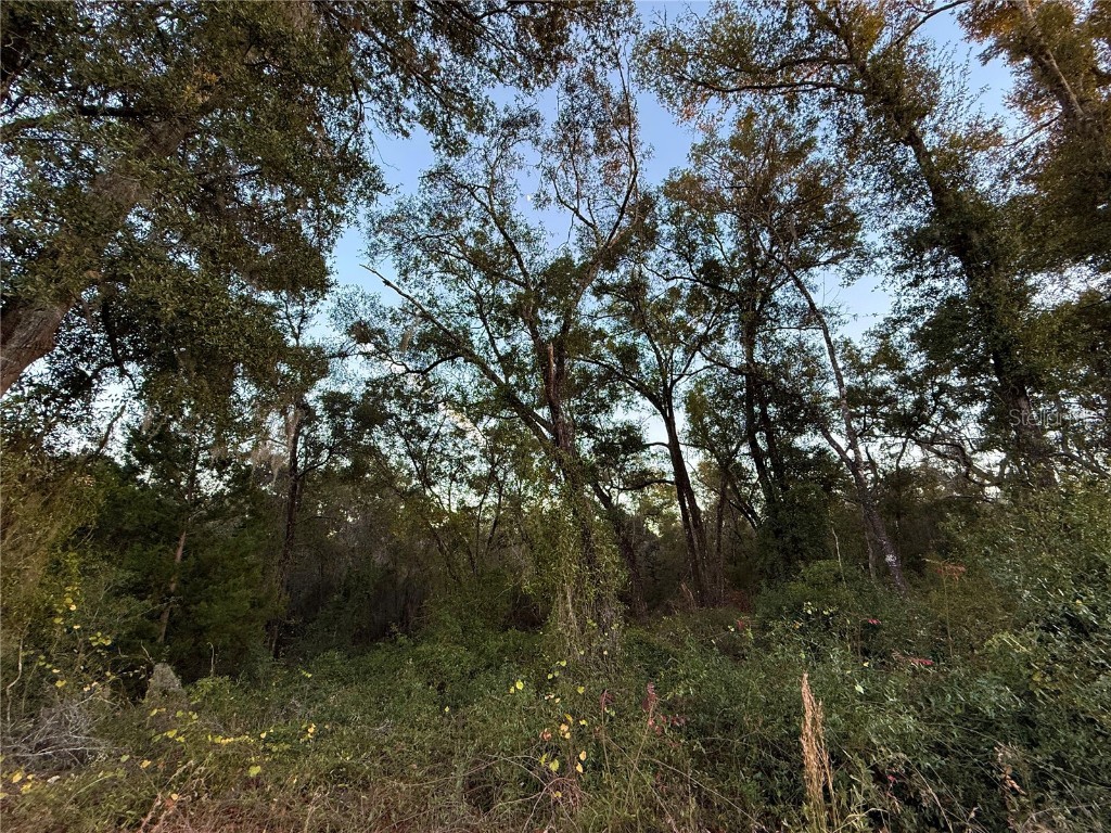 0 E Thrasher Dr Bronson FL 32621 GC535701 image6