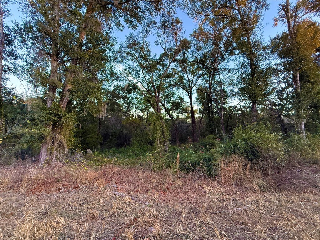 0 E Thrasher Dr Bronson FL 32621 GC535701 image8