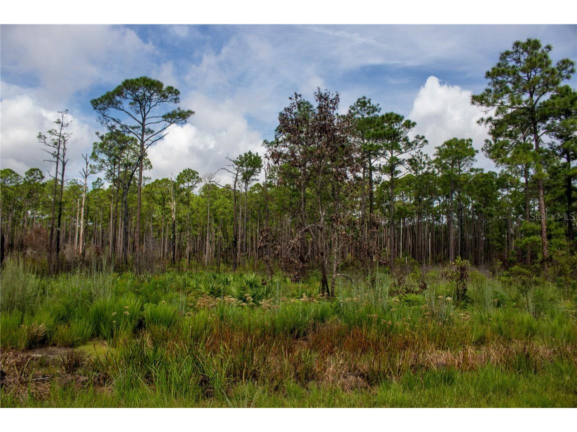 0 Frostproof FL 33843 P4932470 image1