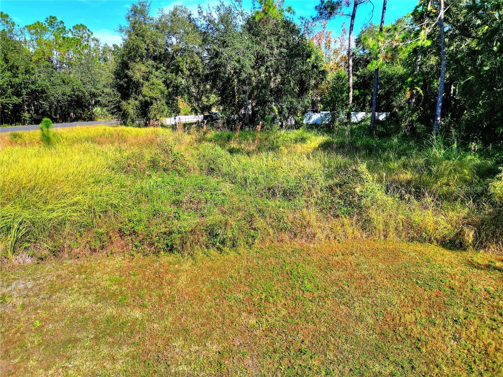 0 Intercession City Intercession City FL 33848 P4937149 image13