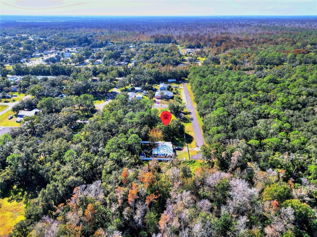 0 Intercession City Intercession City FL 33848 P4937149 image9