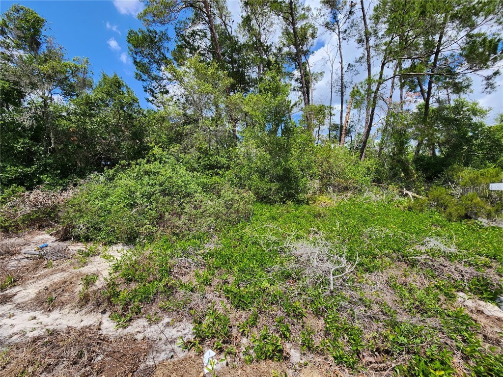 0 Kirkwood Ave Lot 21 Spring Hill FL 34608 W7854226 image1