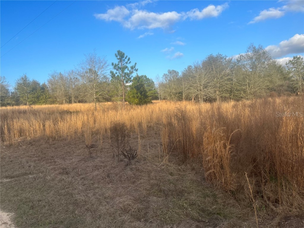 0 Live Oak FL 32060 O6088302 image1