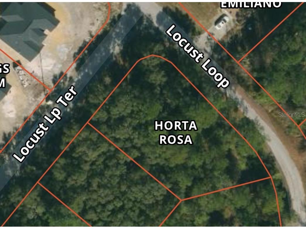 0 Locust Lp Terr Ocala FL 34472 O6244054 image2