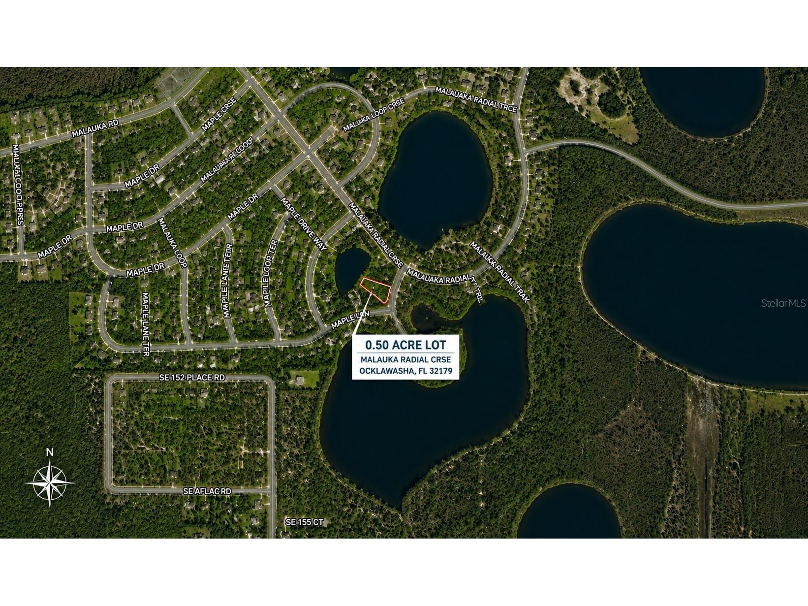 0 Malauka Radial Crse Ocklawaha FL 32179 OM724116 image3