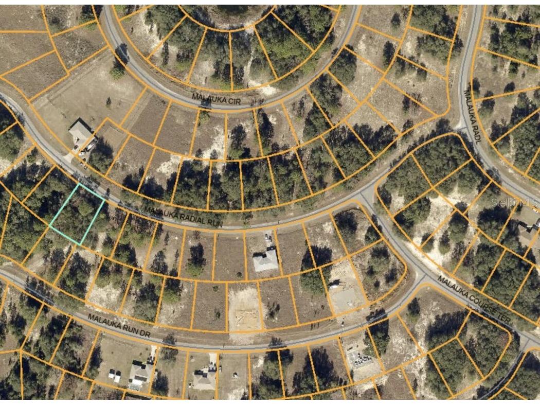 0 Malauka Radial Rd Ocklawaha FL 32179 O6142828 image1