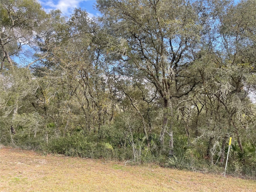 0 Marion Oaks Blvd. Ocala FL 34473 S5100295 image1