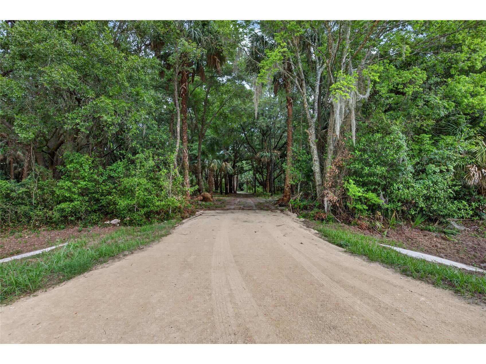 0 N Us Hwy 301 Citra FL 32113 TB8509552 image1