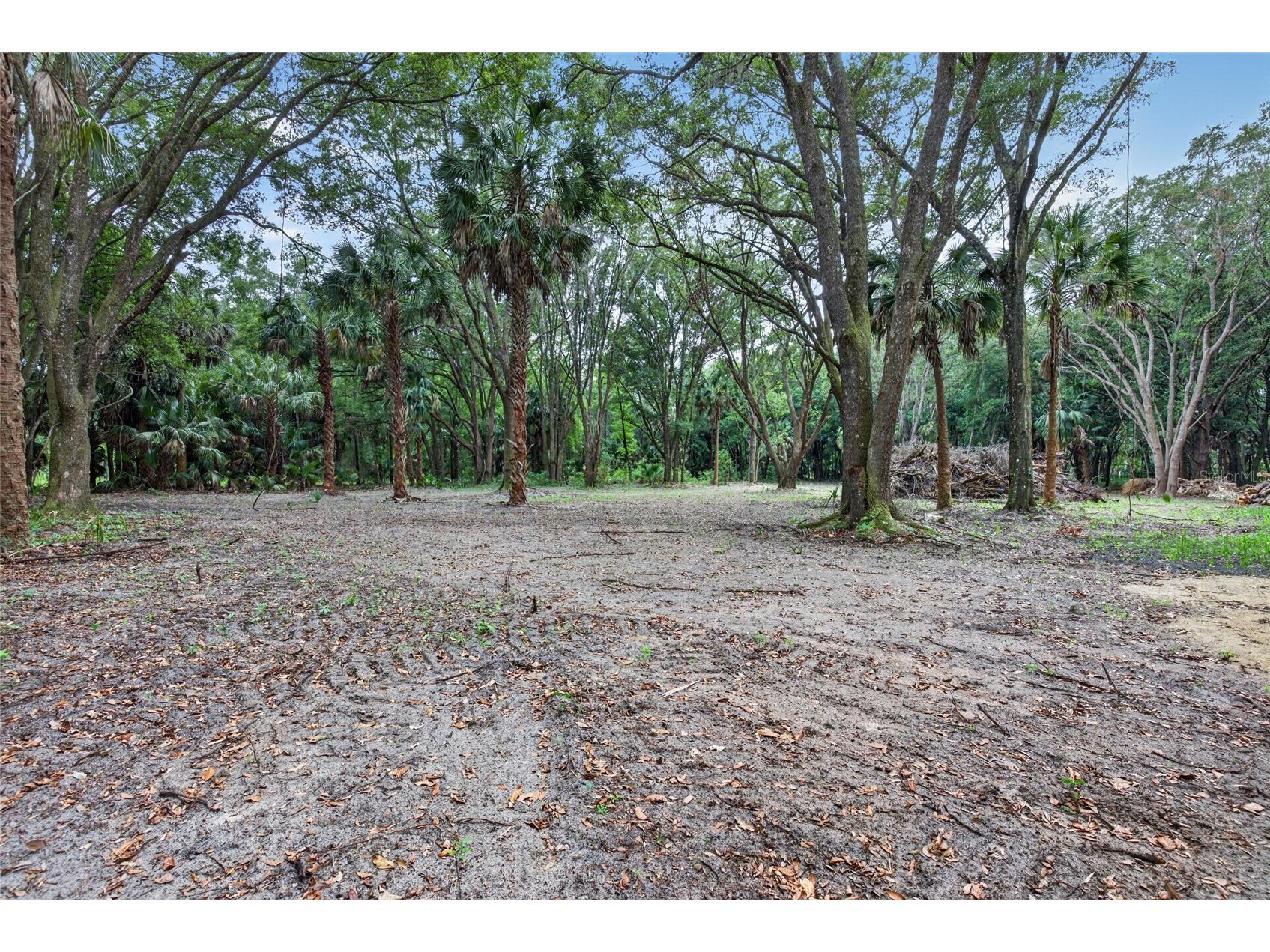 0 N Us Hwy 301 Citra FL 32113 TB8509552 image10