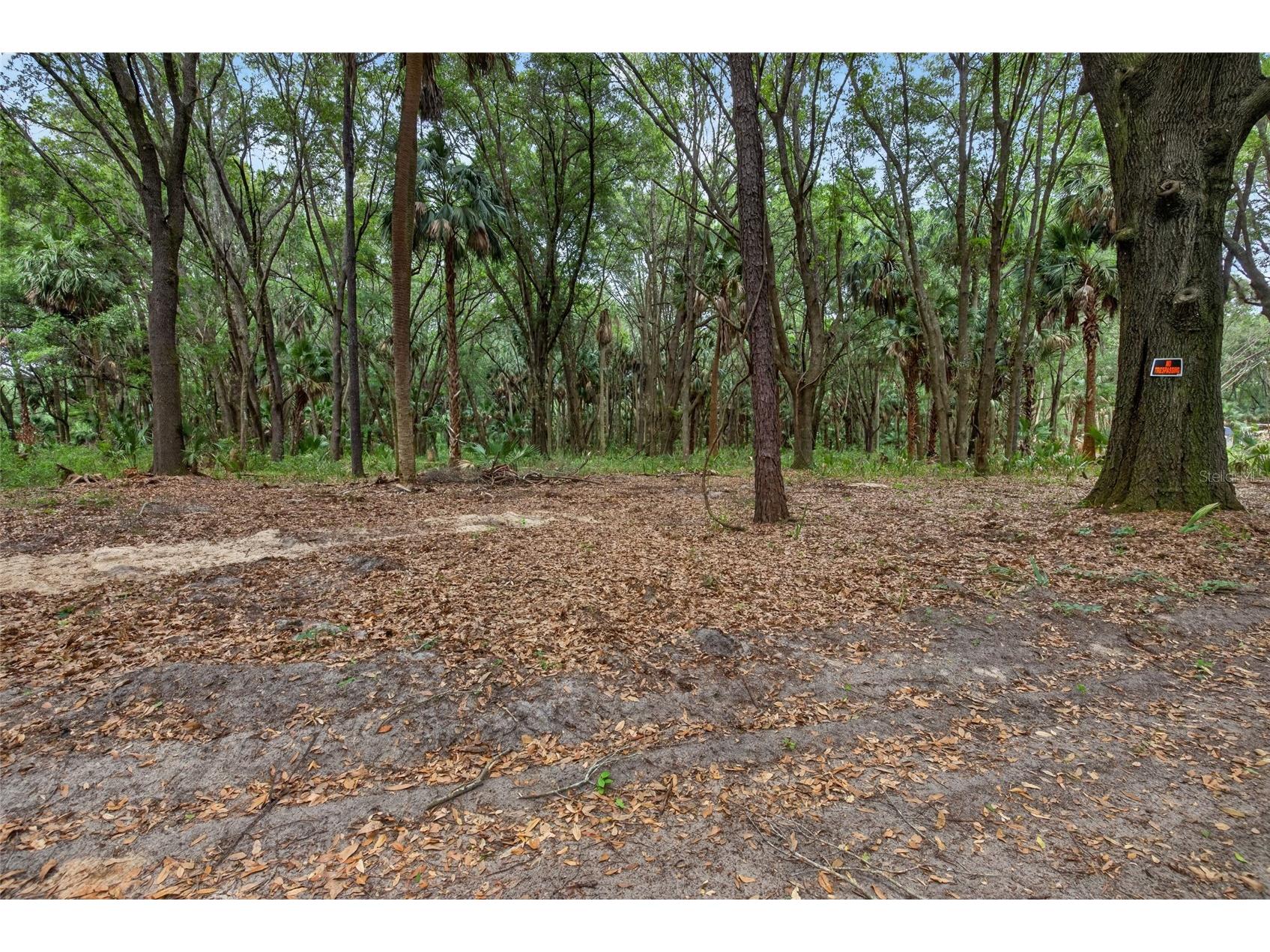0 N Us Hwy 301 Citra FL 32113 TB8509552 image12