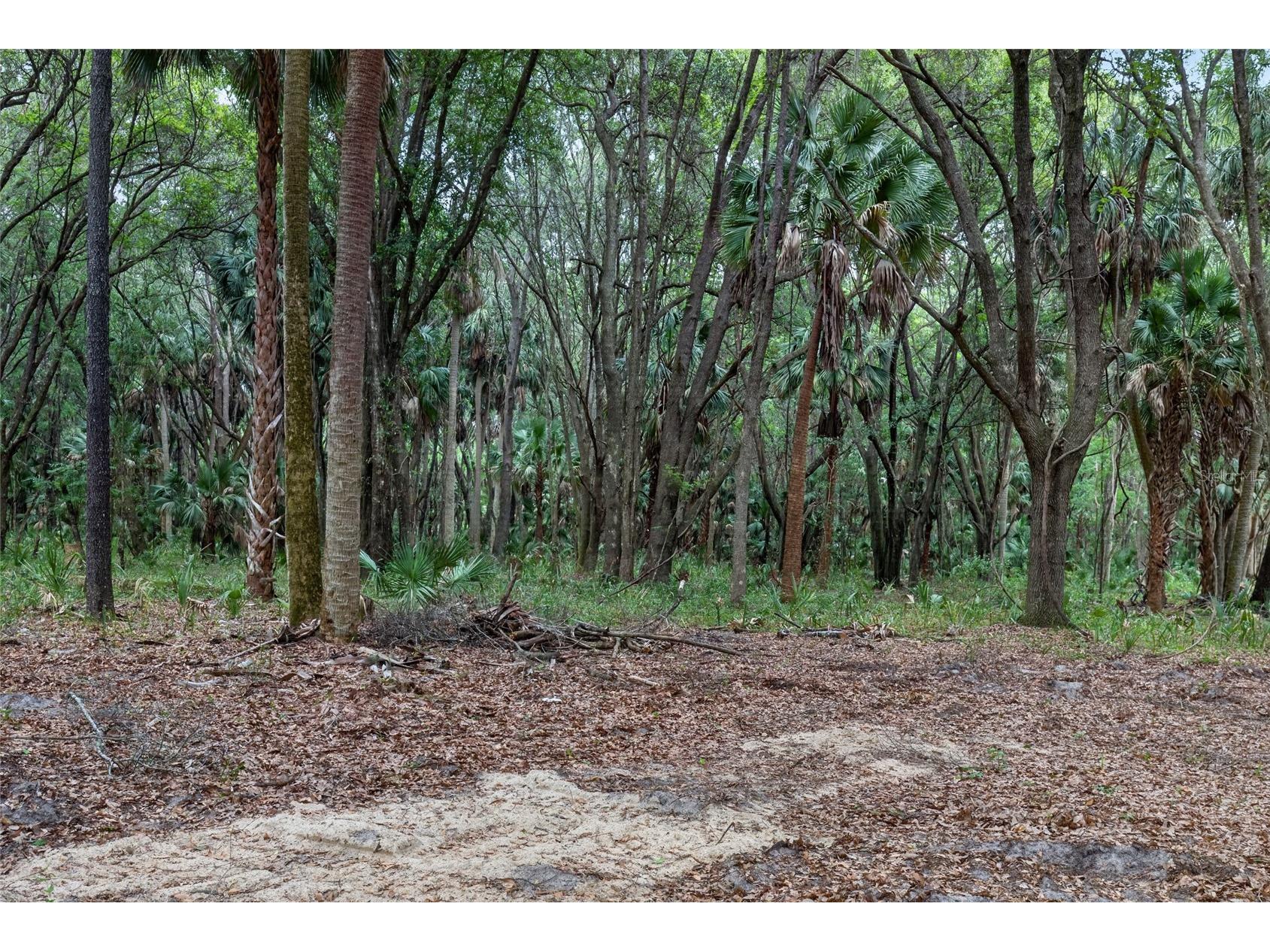 0 N Us Hwy 301 Citra FL 32113 TB8509552 image13