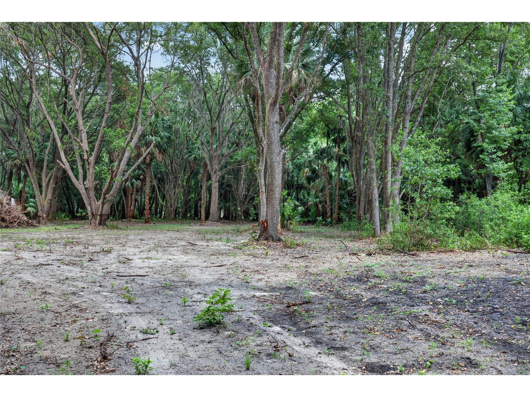 0 N Us Hwy 301 Citra FL 32113 TB8509552 image14