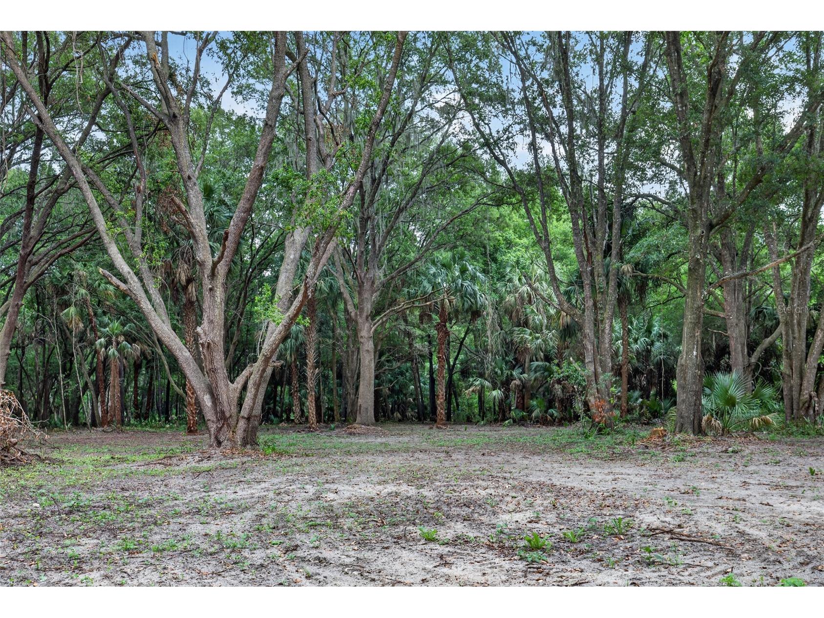 0 N Us Hwy 301 Citra FL 32113 TB8509552 image15