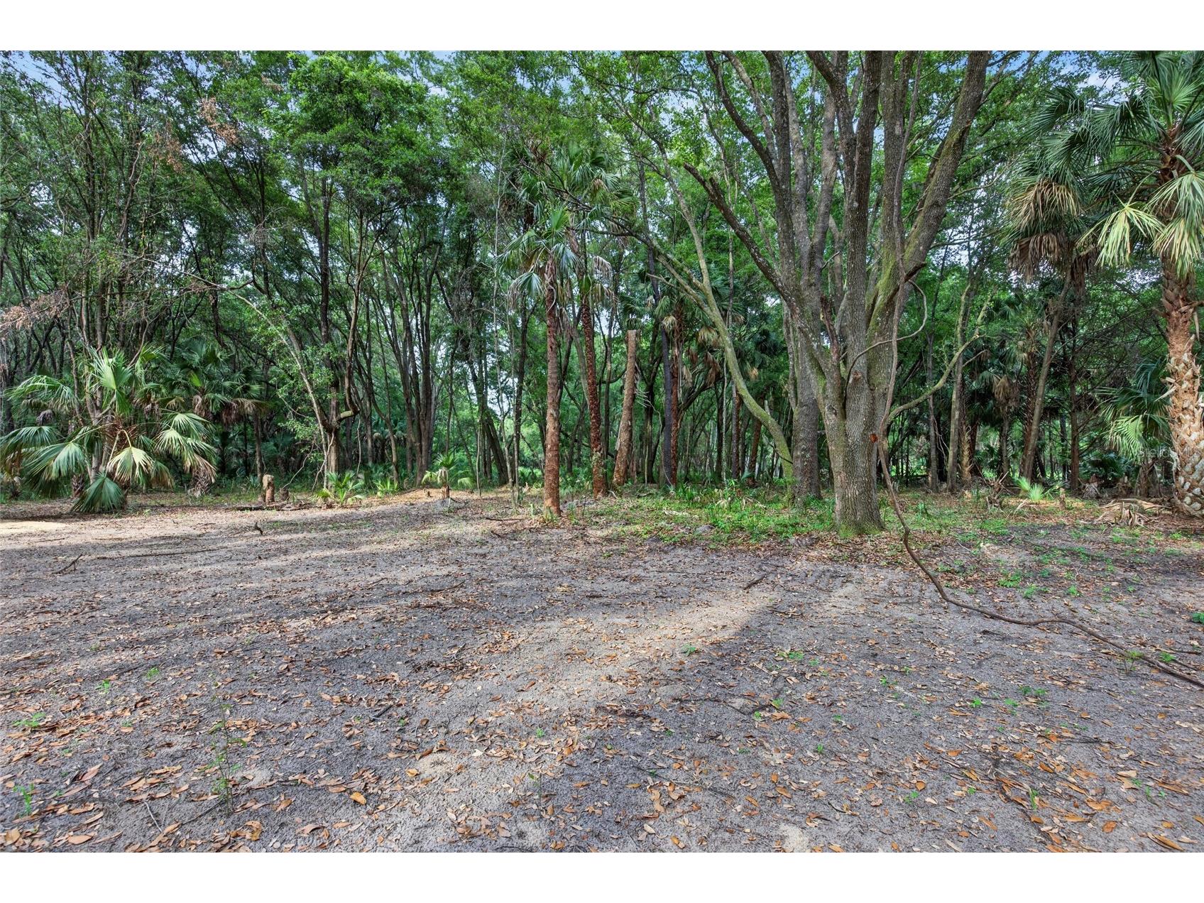 0 N Us Hwy 301 Citra FL 32113 TB8509552 image17
