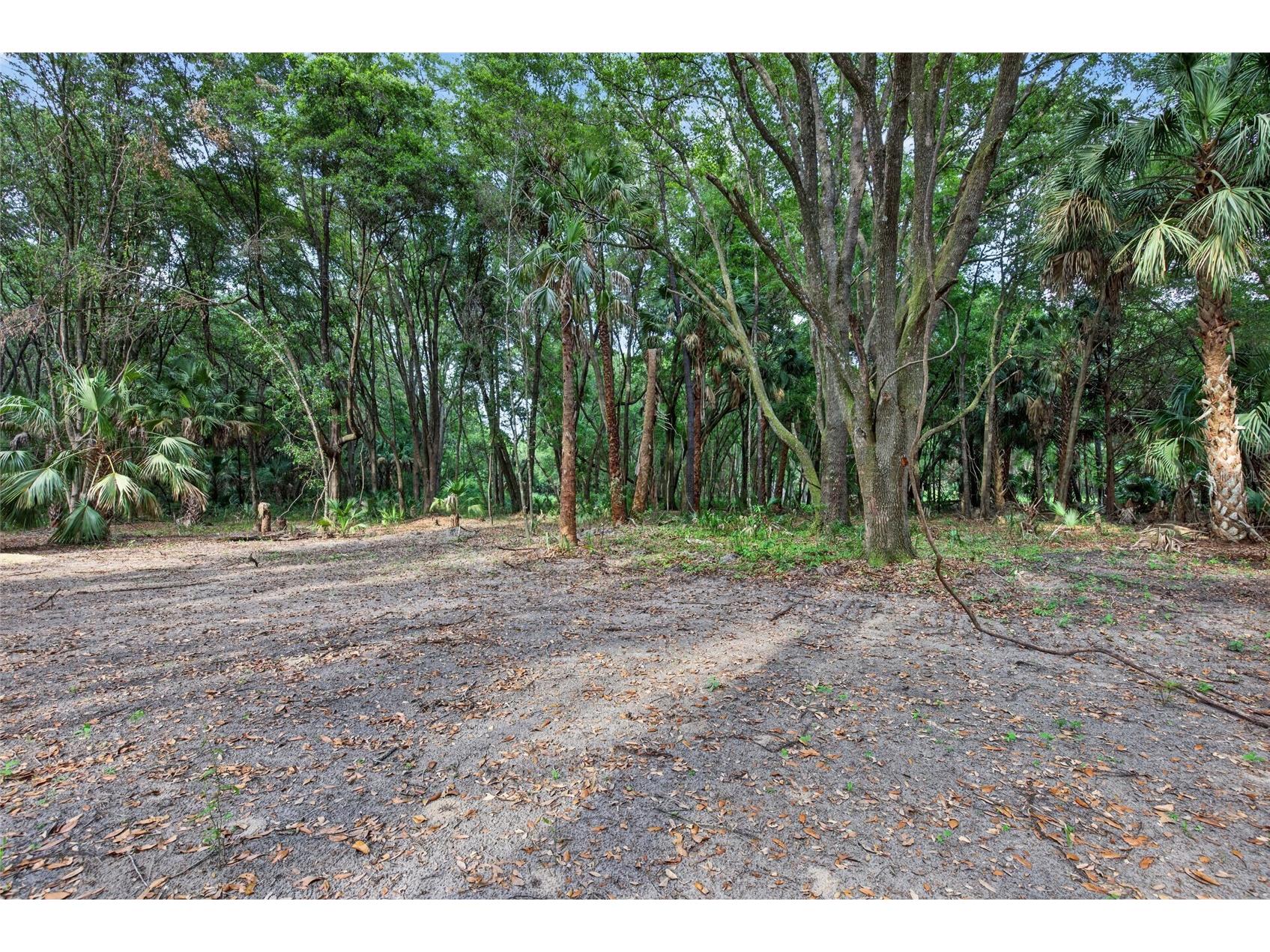 0 N Us Hwy 301 Citra FL 32113 TB8509552 image18