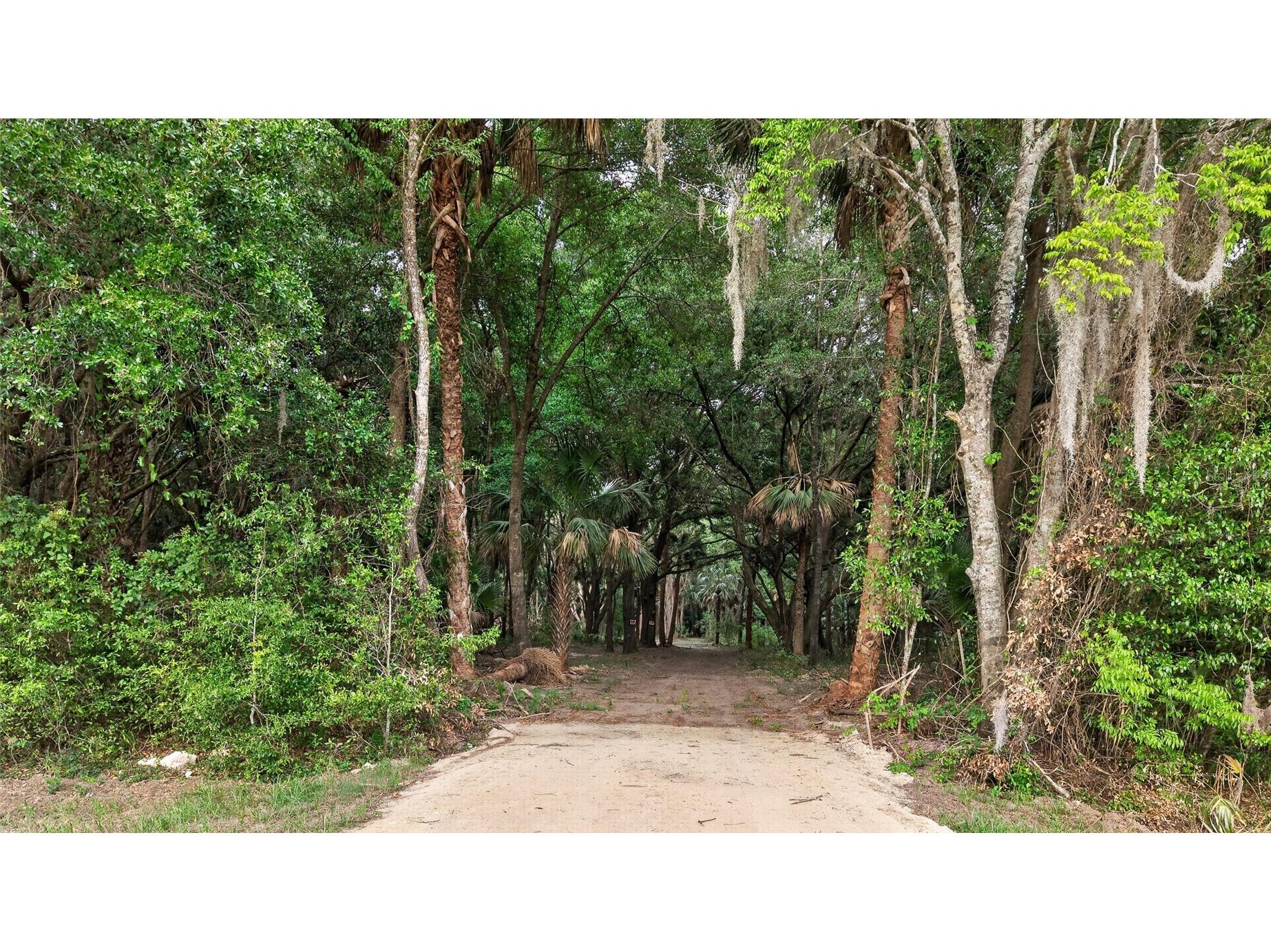 0 N Us Hwy 301 Citra FL 32113 TB8509552 image2
