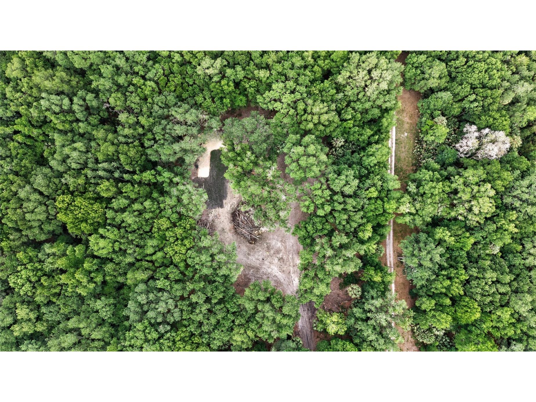 0 N Us Hwy 301 Citra FL 32113 TB8509552 image20
