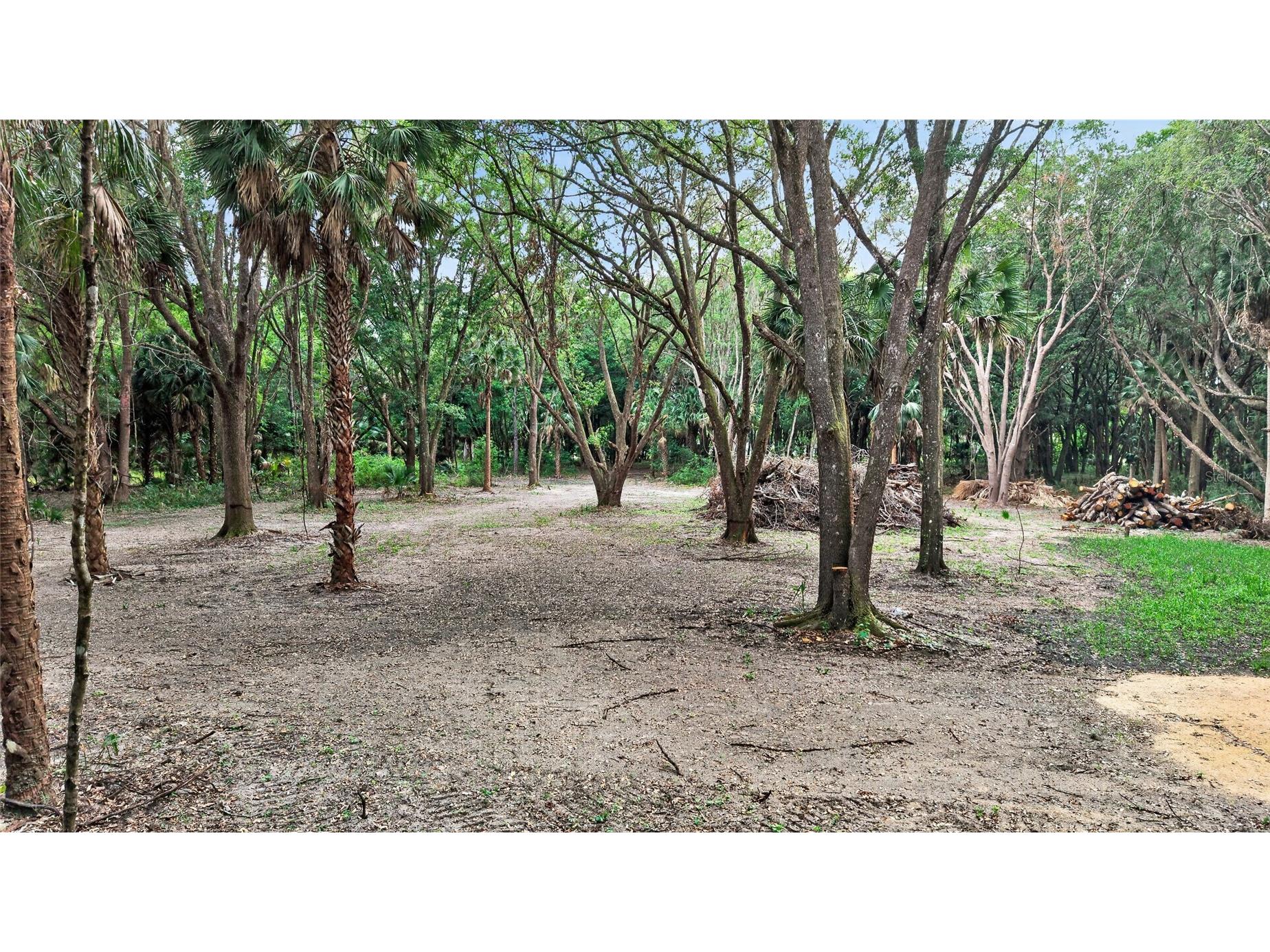 0 N Us Hwy 301 Citra FL 32113 TB8509552 image30