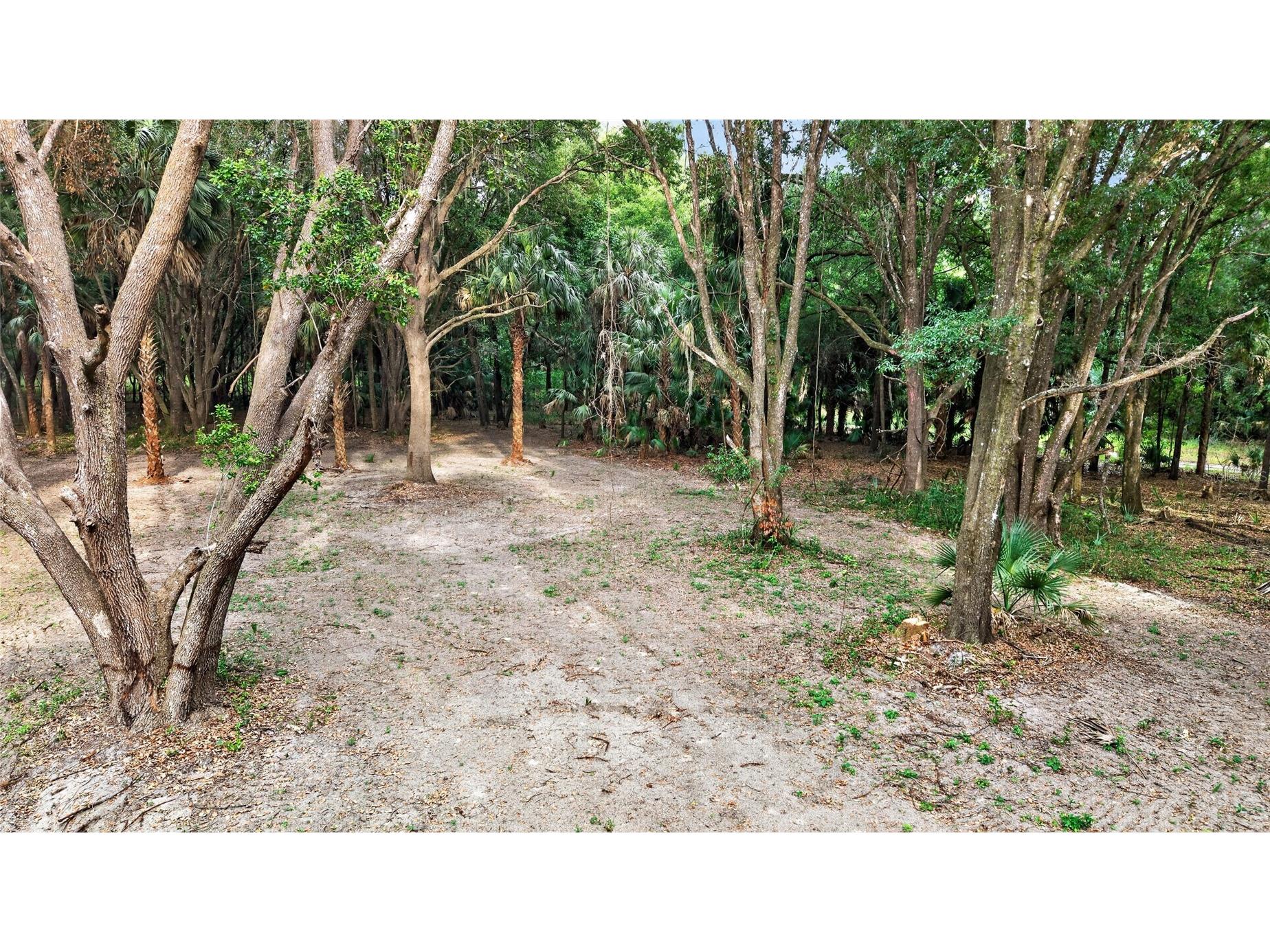 0 N Us Hwy 301 Citra FL 32113 TB8509552 image31