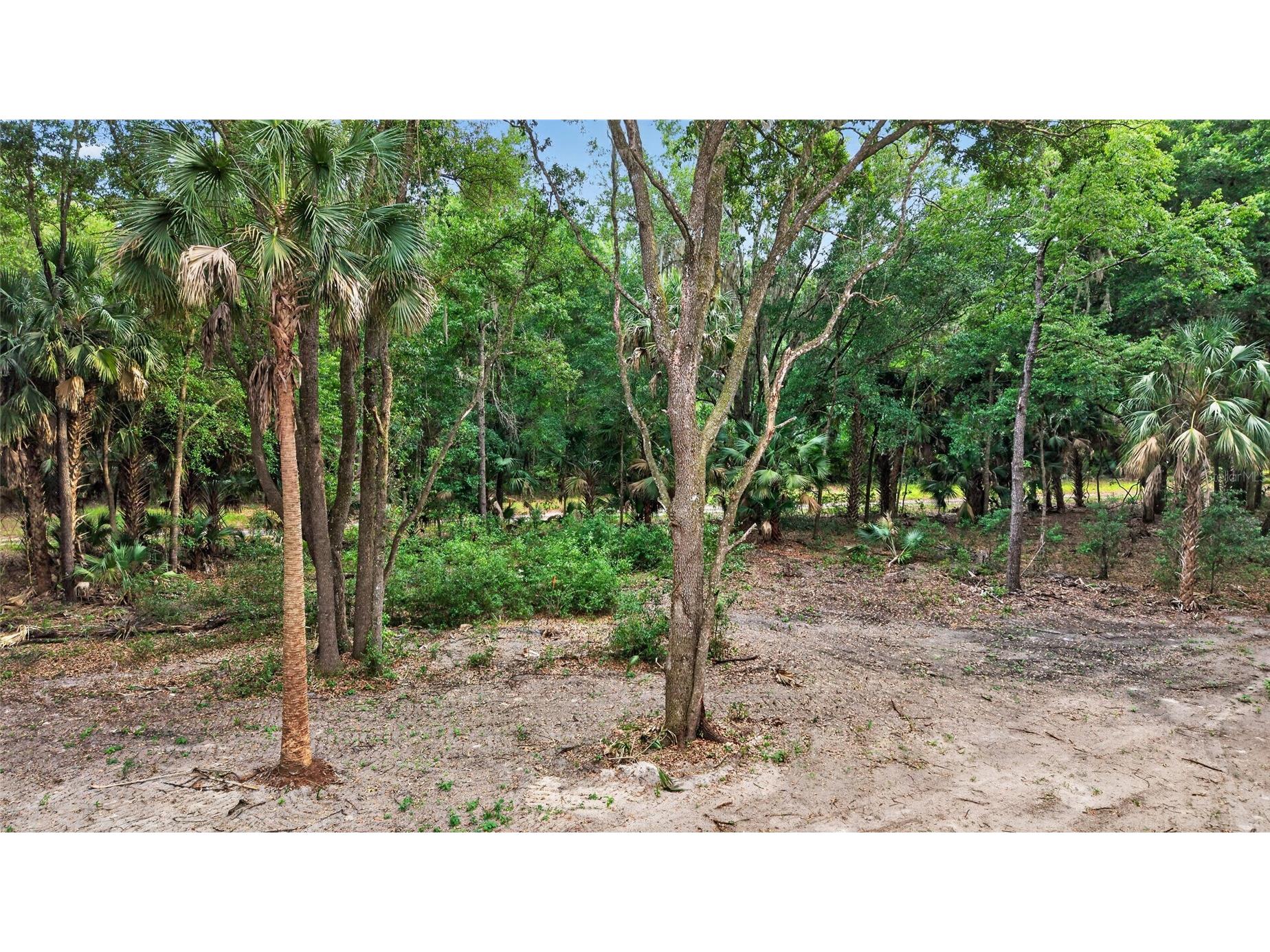 0 N Us Hwy 301 Citra FL 32113 TB8509552 image32