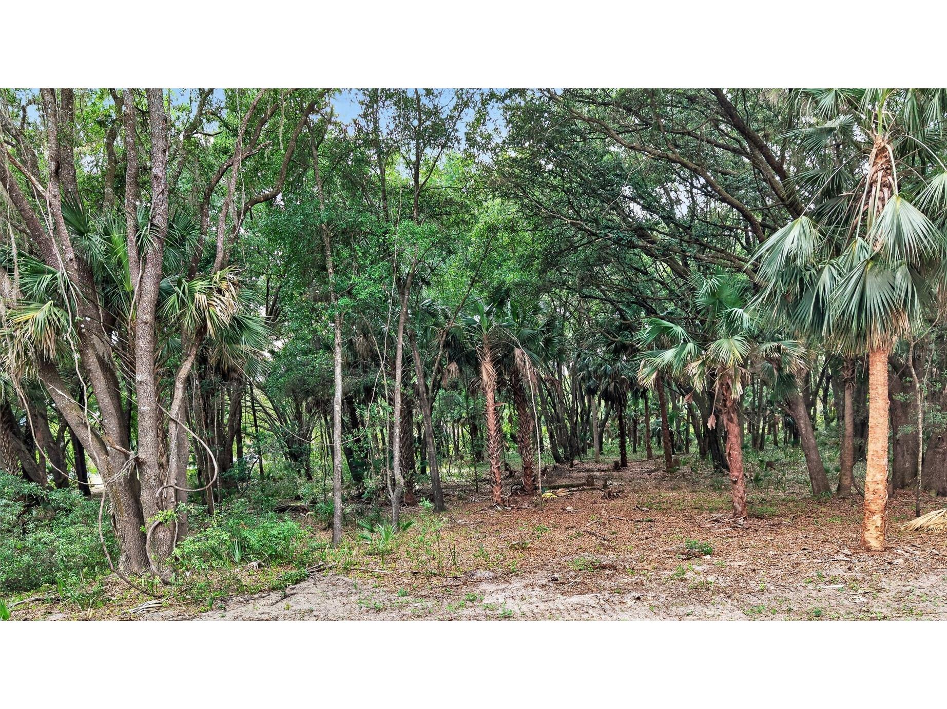 0 N Us Hwy 301 Citra FL 32113 TB8509552 image33