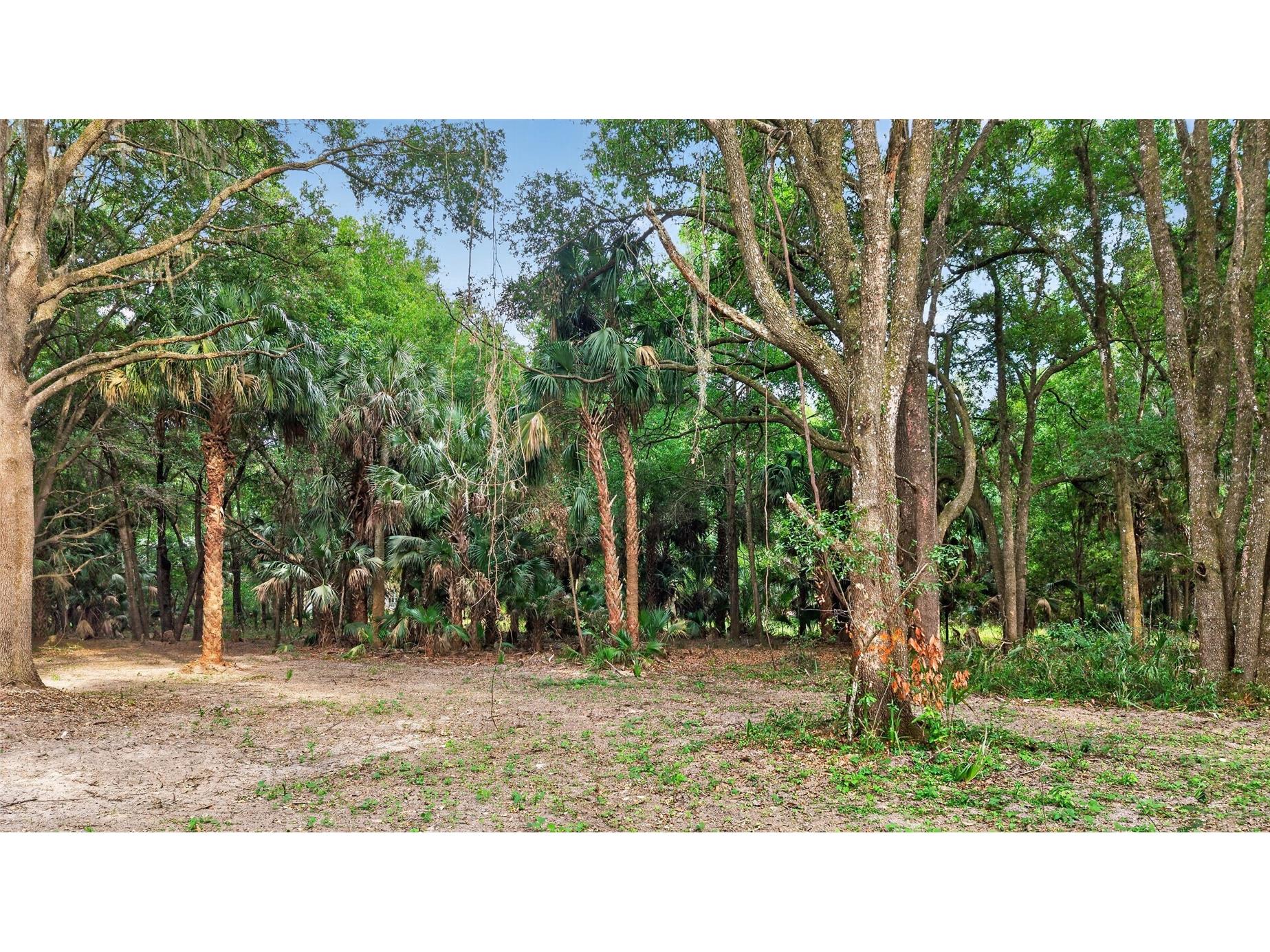 0 N Us Hwy 301 Citra FL 32113 TB8509552 image34