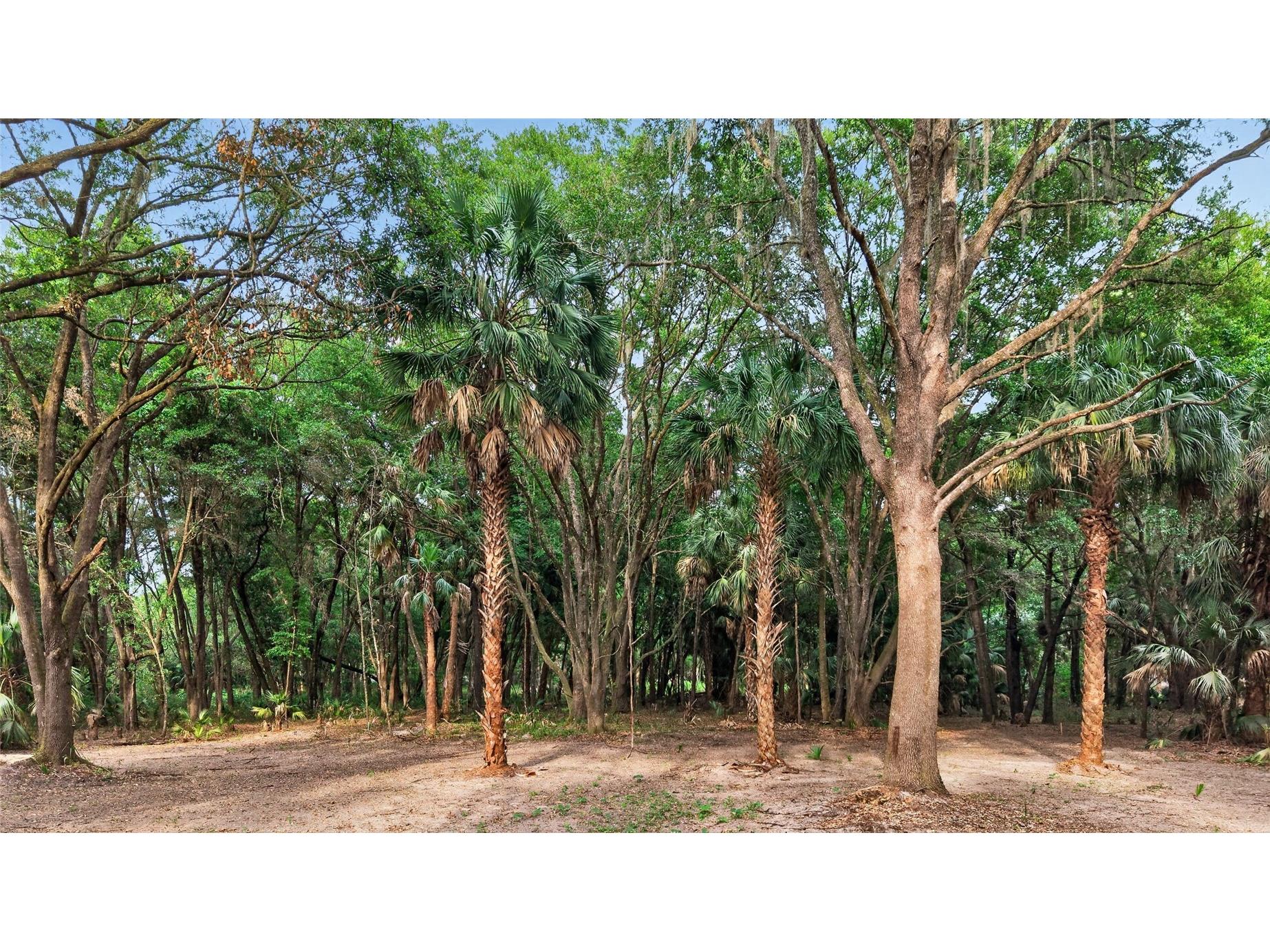 0 N Us Hwy 301 Citra FL 32113 TB8509552 image35