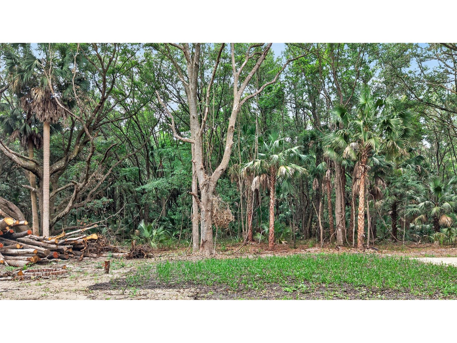 0 N Us Hwy 301 Citra FL 32113 TB8509552 image36