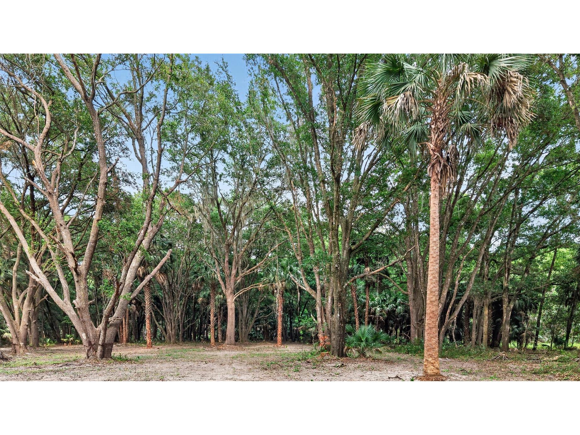 0 N Us Hwy 301 Citra FL 32113 TB8509552 image38