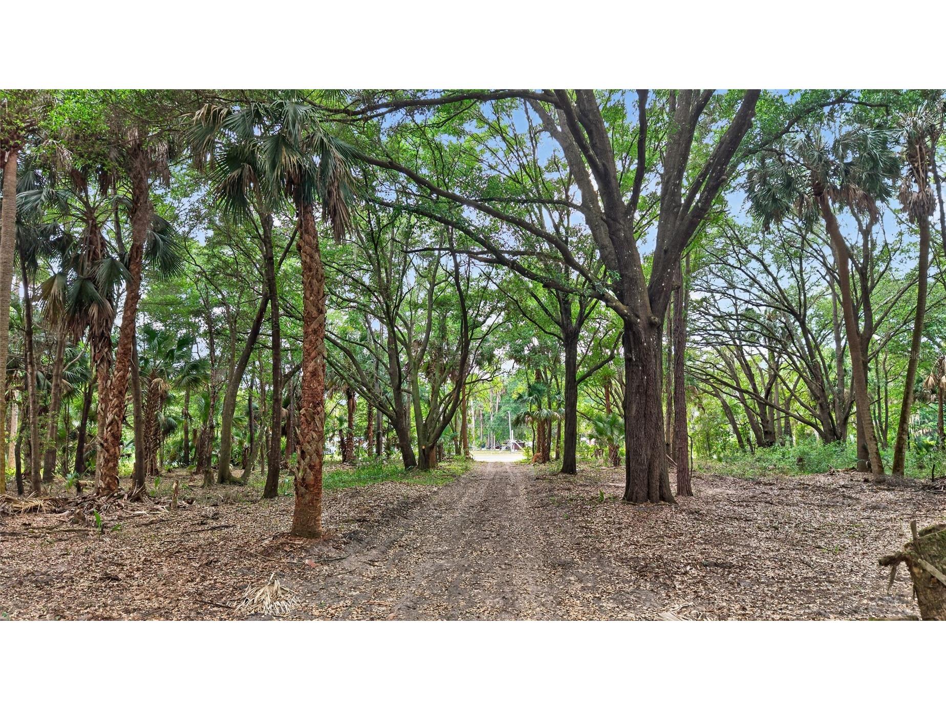 0 N Us Hwy 301 Citra FL 32113 TB8509552 image39