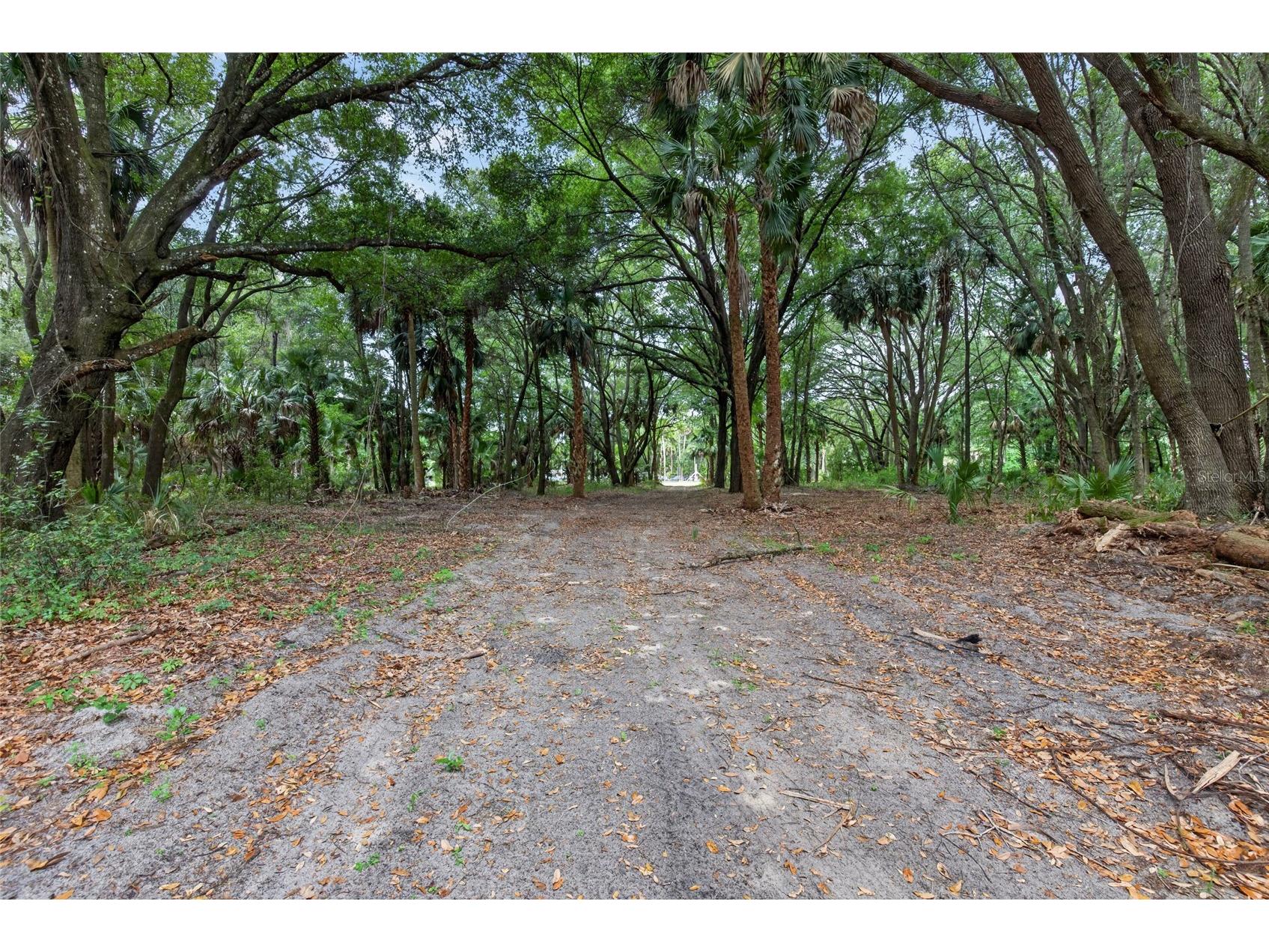 0 N Us Hwy 301 Citra FL 32113 TB8509552 image4