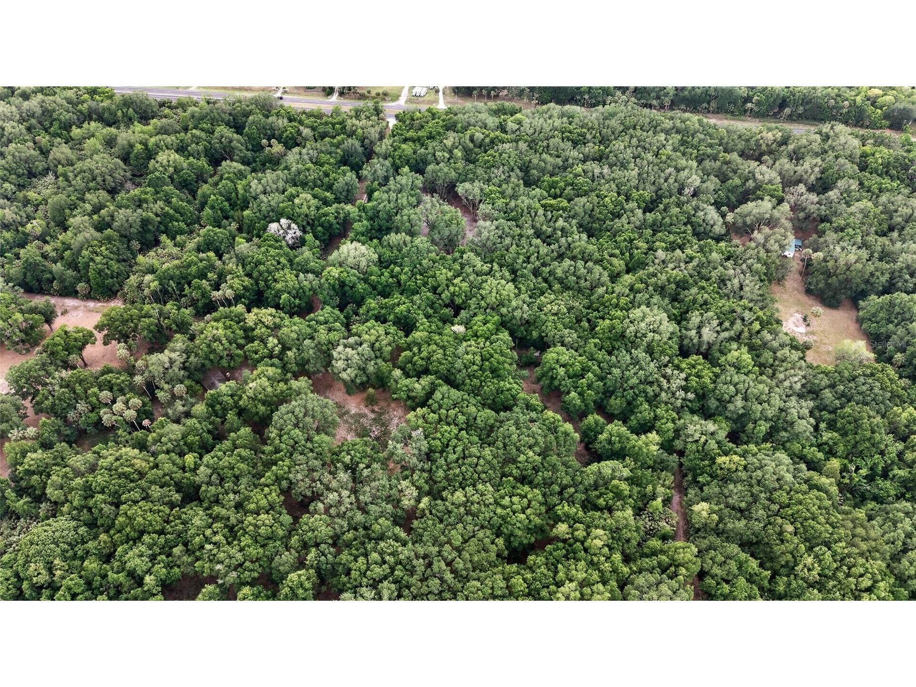 0 N Us Hwy 301 Citra FL 32113 TB8509552 image42