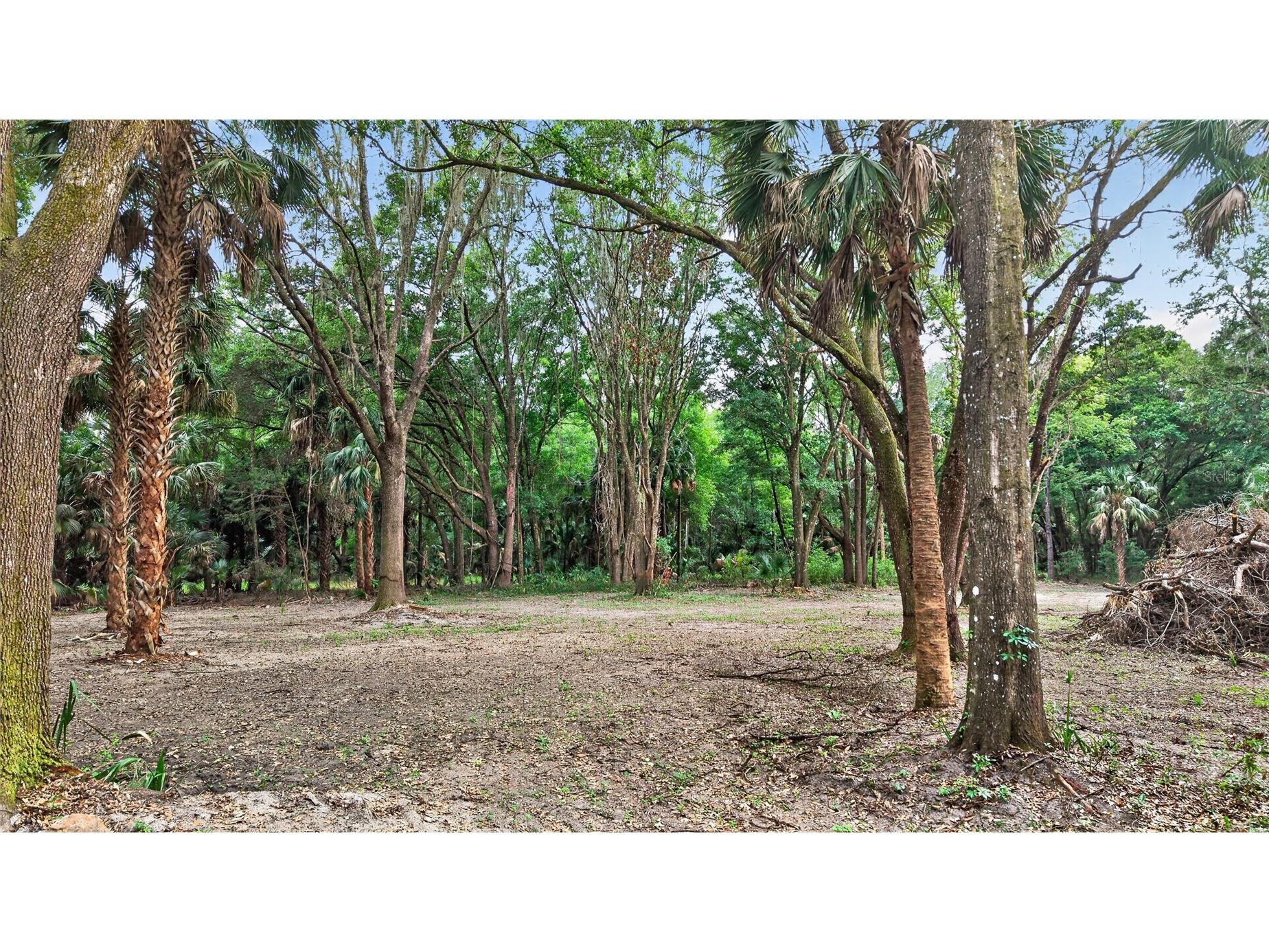 0 N Us Hwy 301 Citra FL 32113 TB8509552 image43