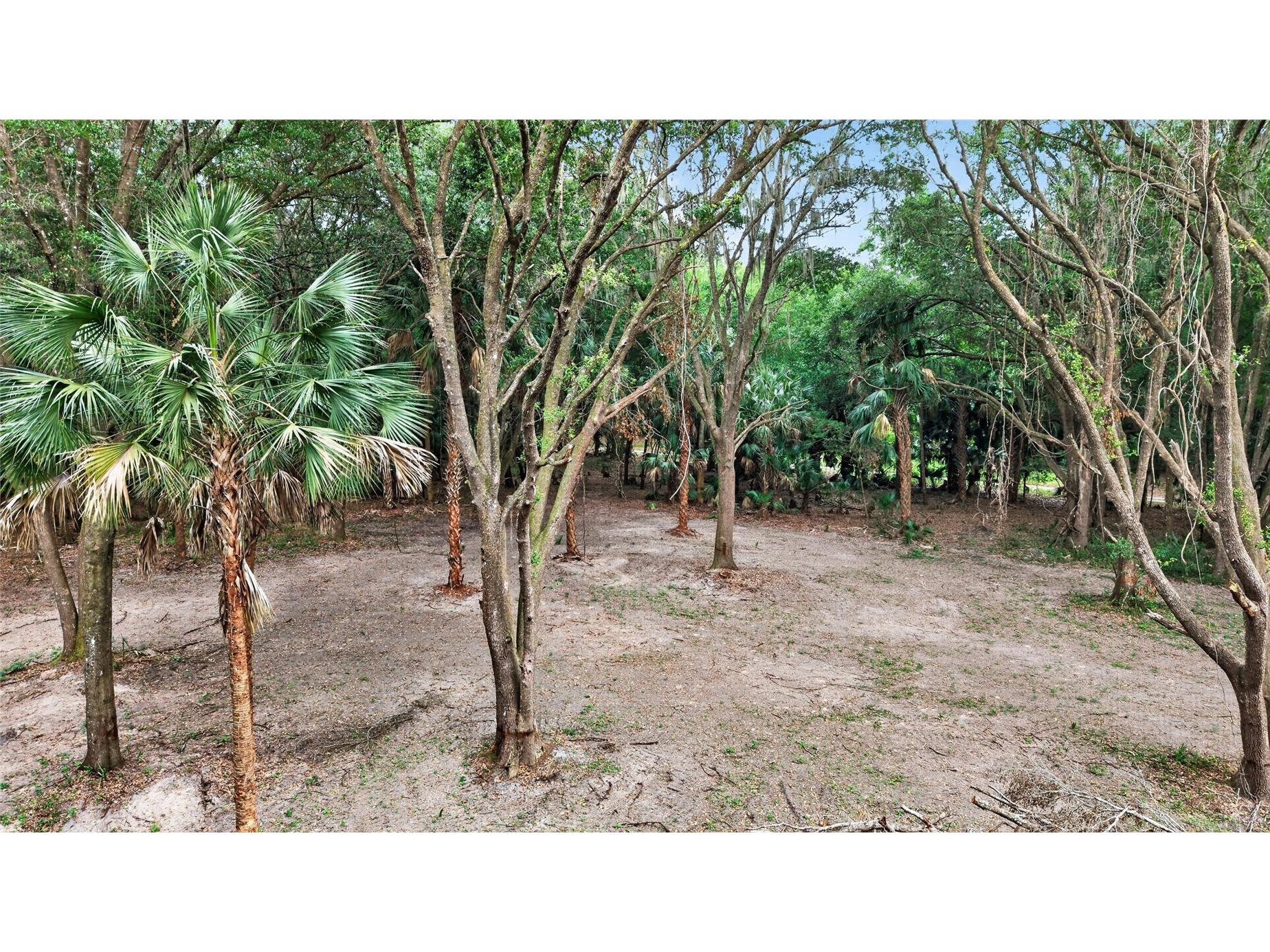 0 N Us Hwy 301 Citra FL 32113 TB8509552 image46