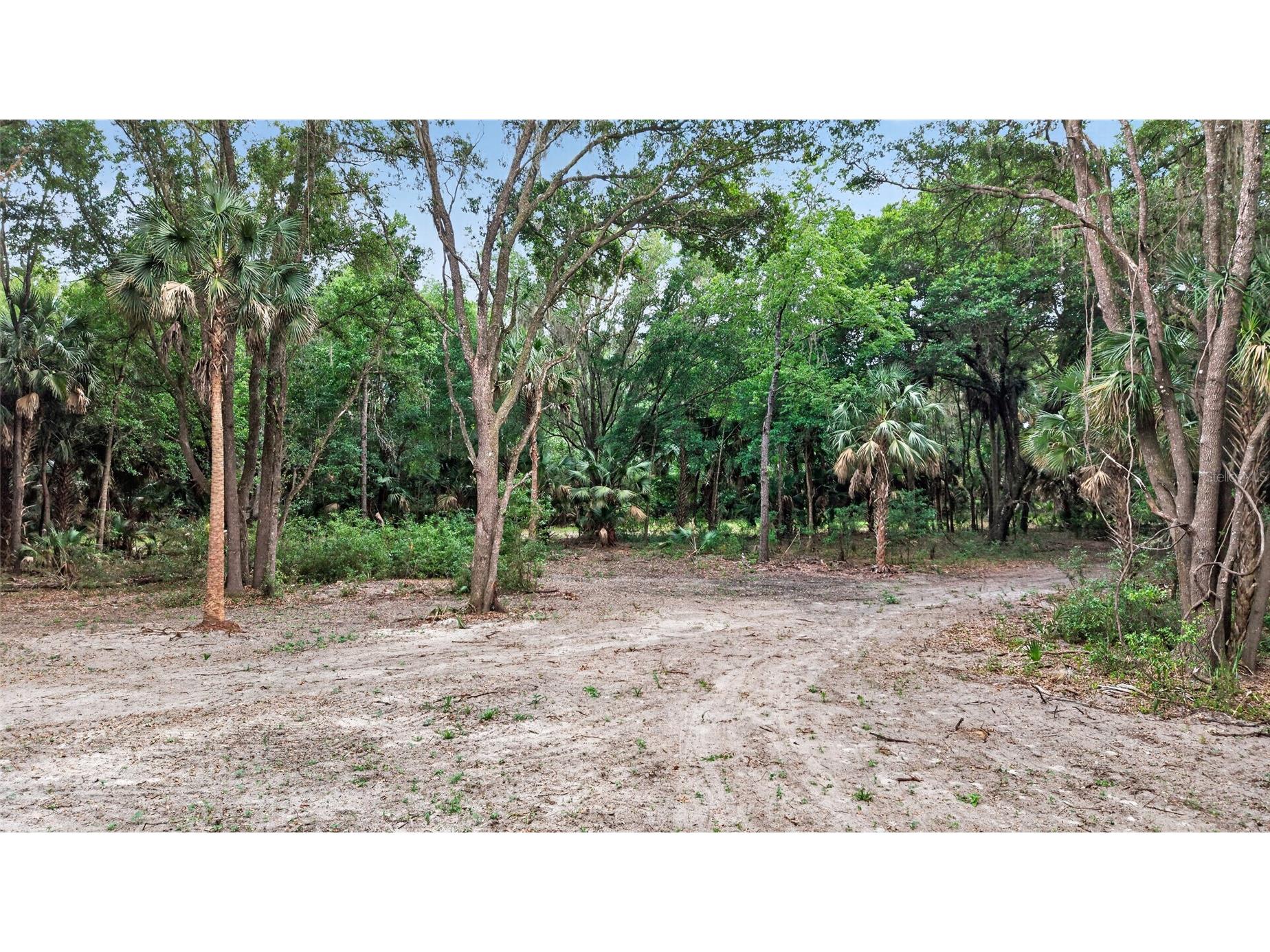 0 N Us Hwy 301 Citra FL 32113 TB8509552 image47