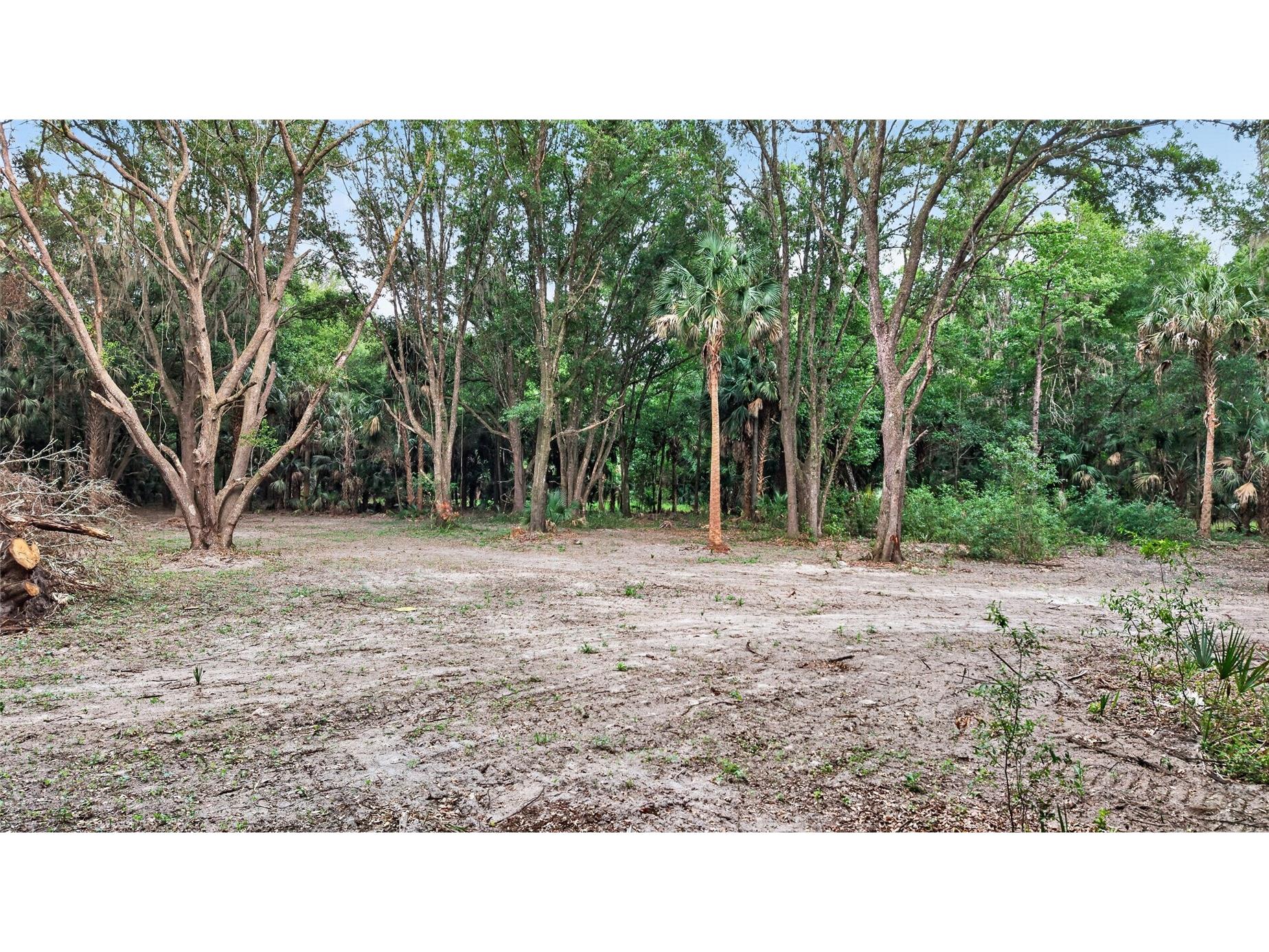 0 N Us Hwy 301 Citra FL 32113 TB8509552 image48