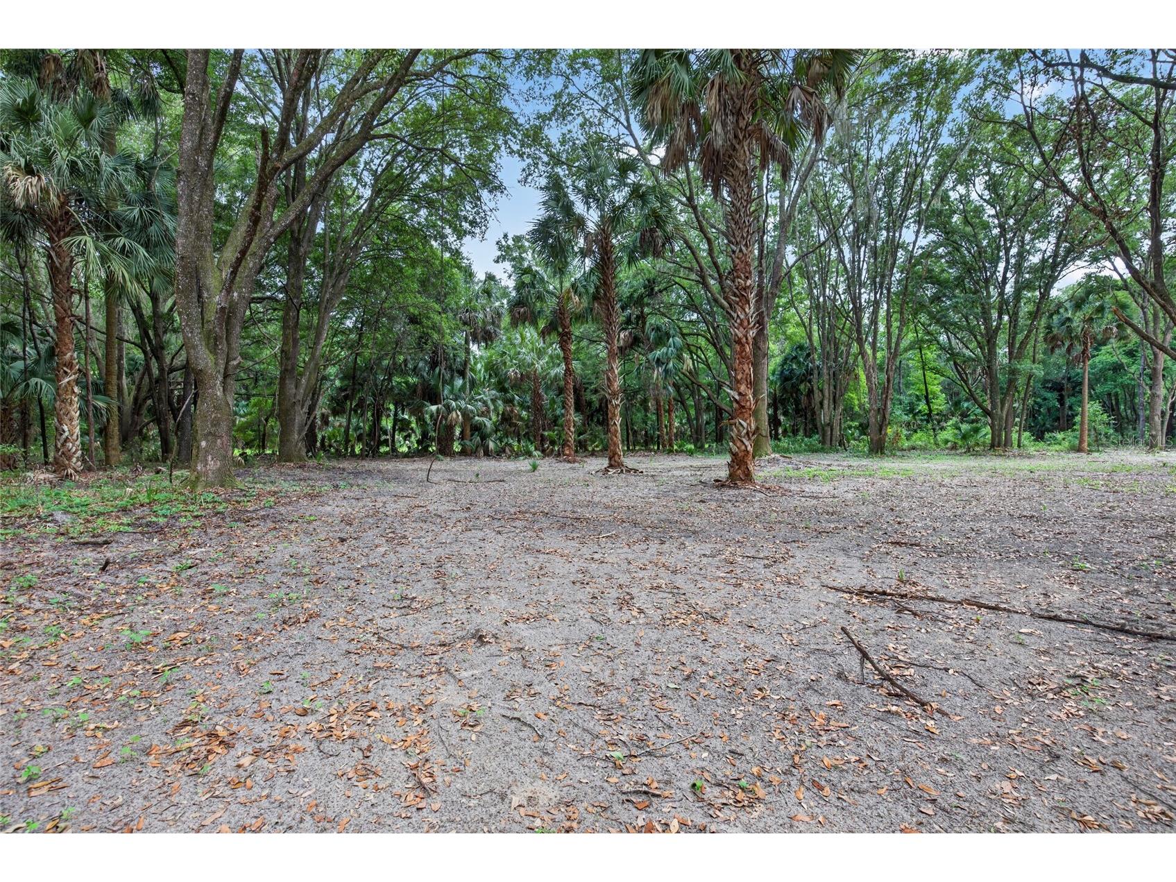 0 N Us Hwy 301 Citra FL 32113 TB8509552 image6