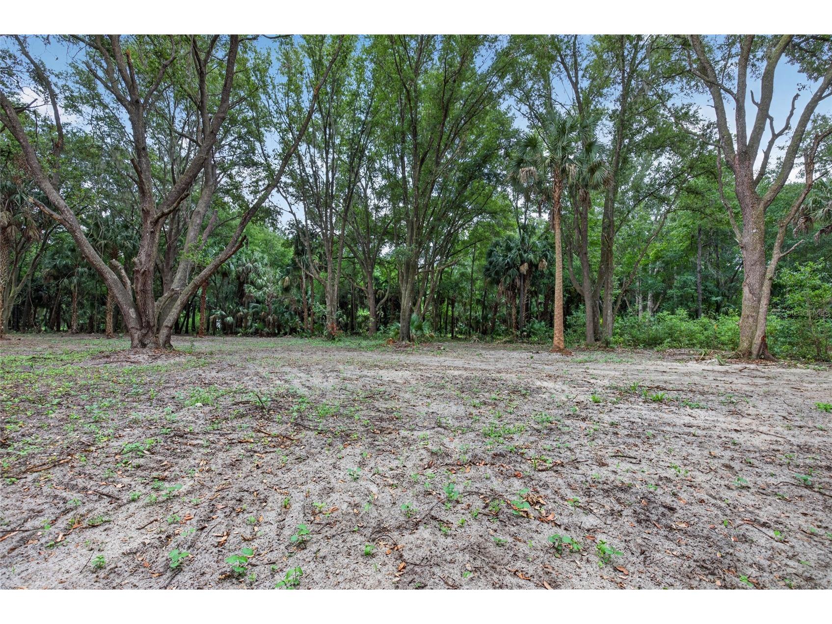 0 N Us Hwy 301 Citra FL 32113 TB8509552 image7