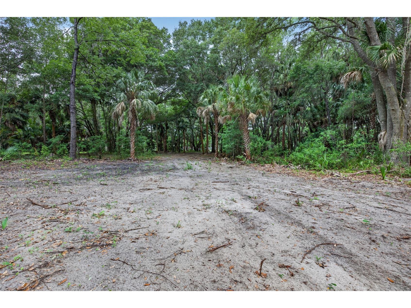 0 N Us Hwy 301 Citra FL 32113 TB8509552 image8