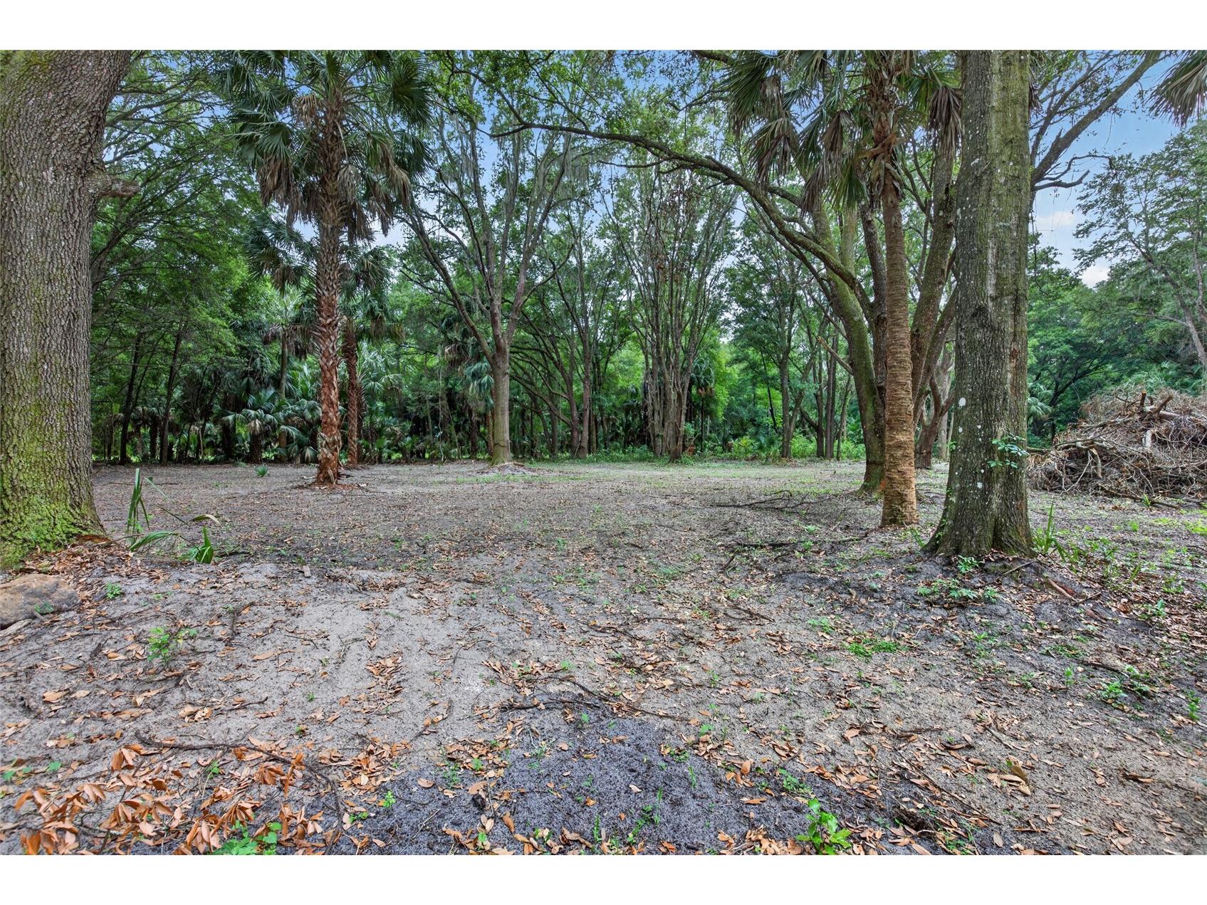 0 N Us Hwy 301 Citra FL 32113 TB8509552 image9